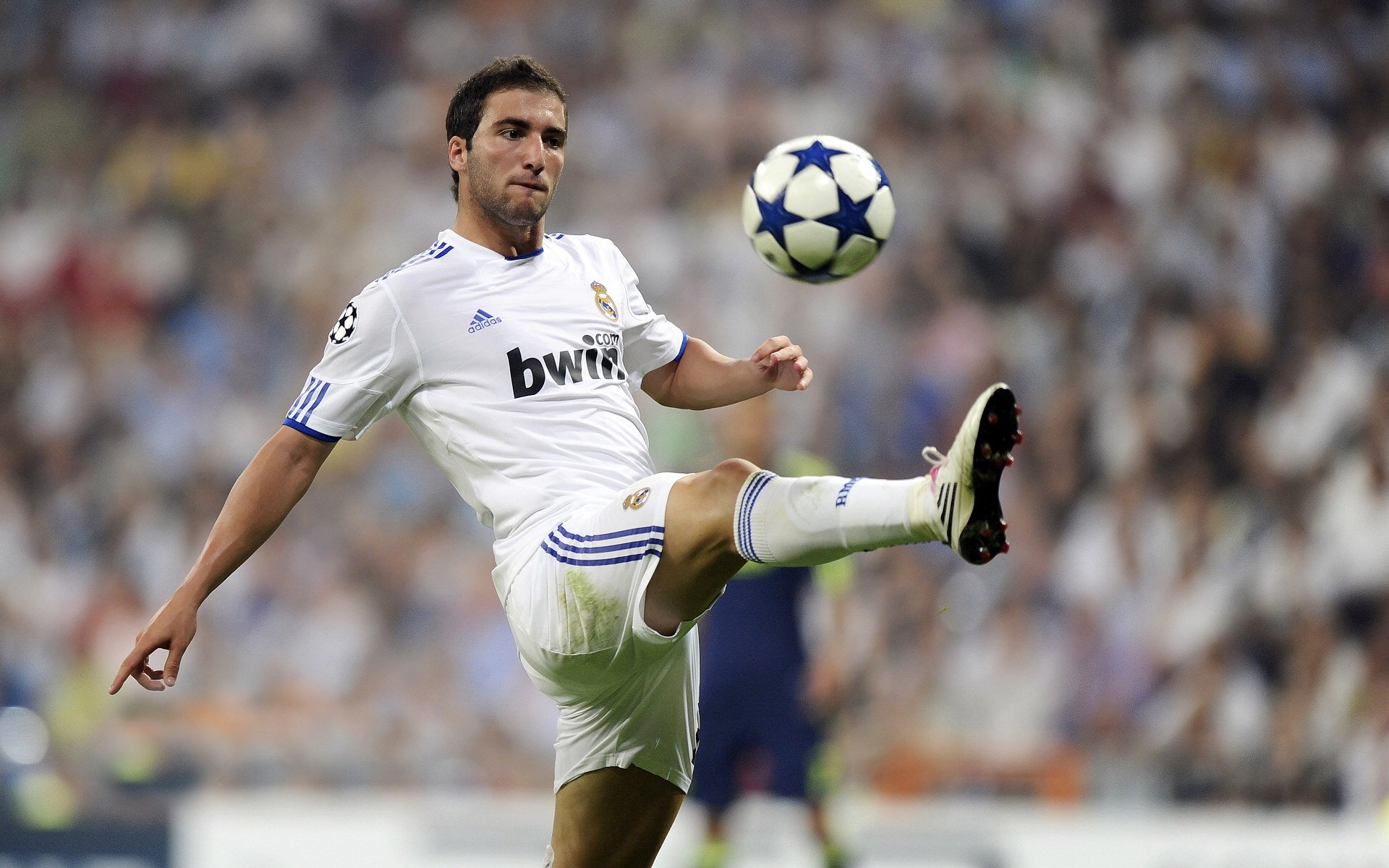 霍勒迪进攻端无人可挡，湖人血拼广厦队展唯一性对决