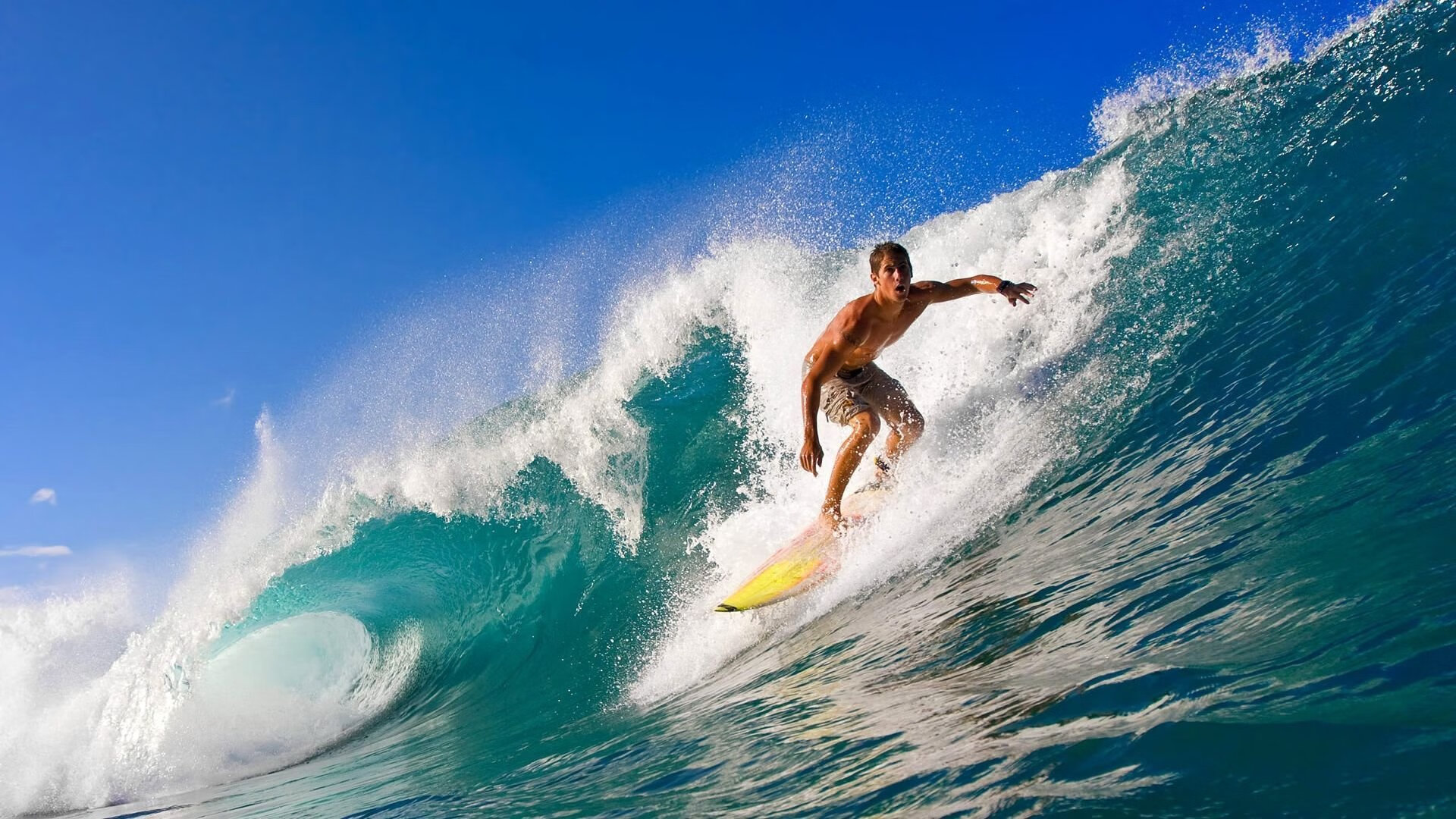 锡安时刻，新王当立，绿军巅峰对决开拓者启示录