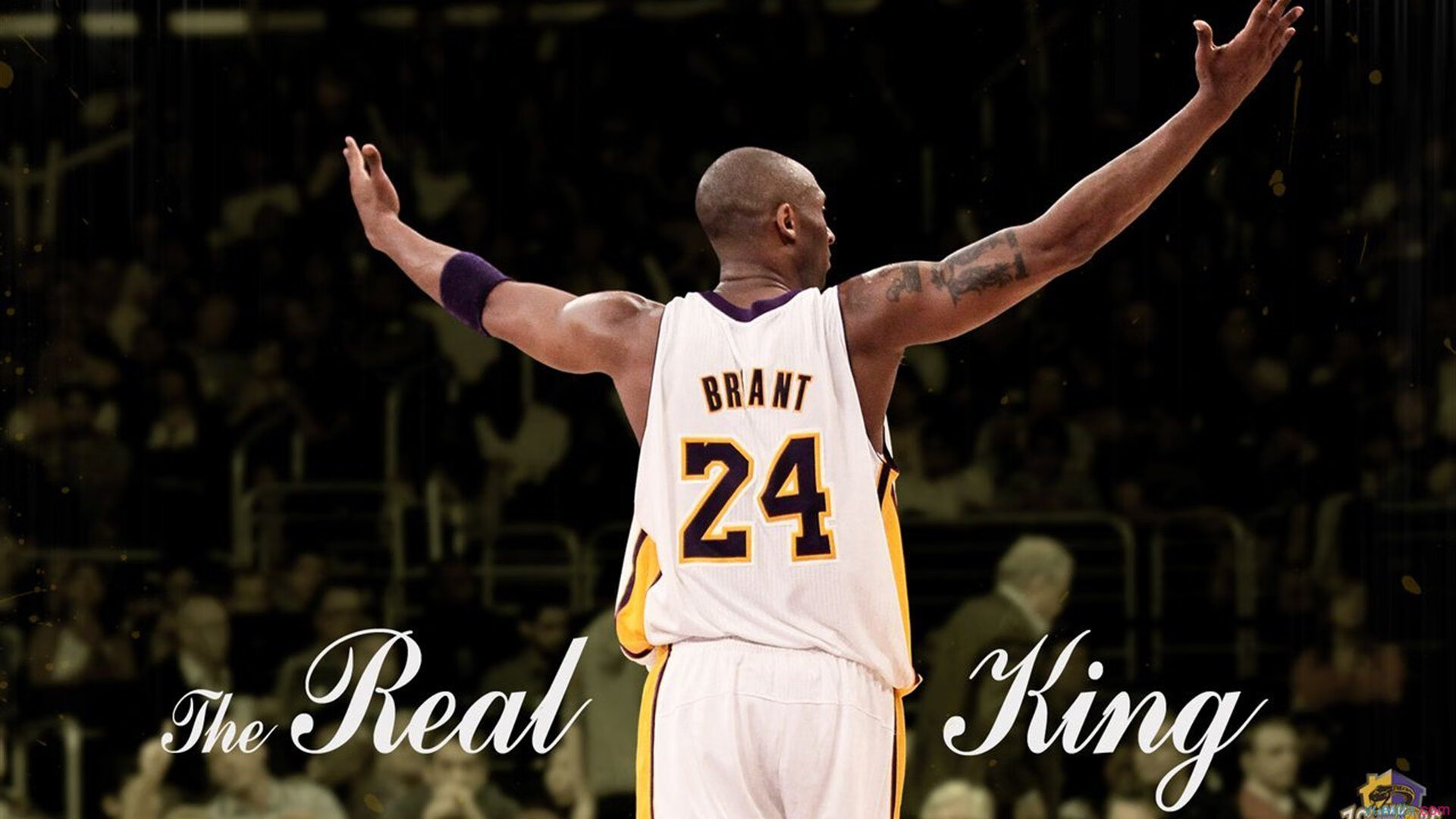 太阳对阵广厦队，布克关键进球定乾坤